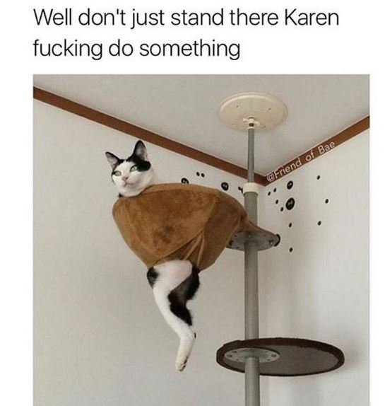Well don't just stand there karen fucking do something 018a ckfnend