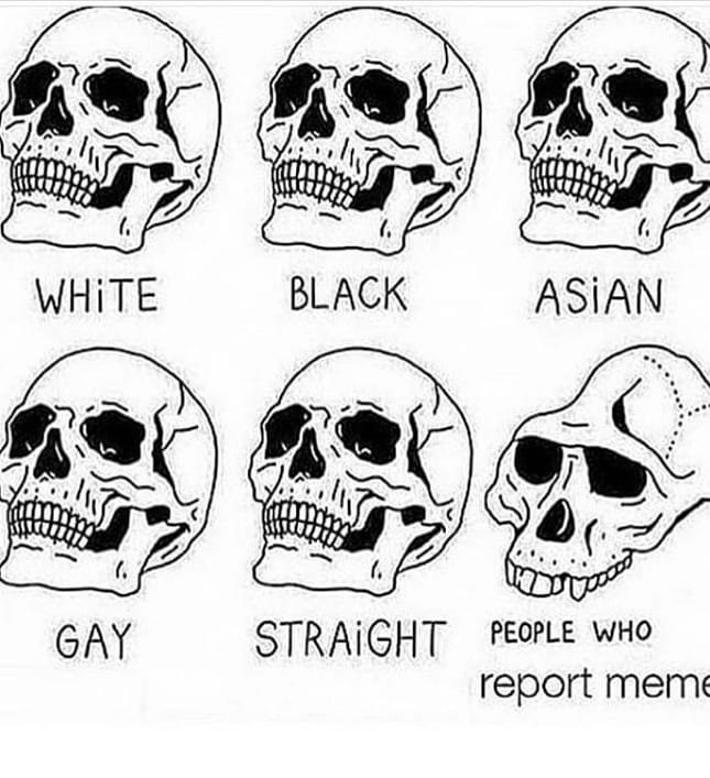 White black asian gay straight people who report meme