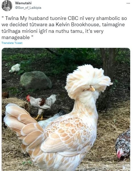 Wamutahi son_of_laikipia twina my husband tuonire cbc n very shambolic so we dec