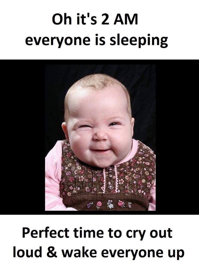 Oh it's 2 am everyone is sleeping perfect time to cry out loud wake everyone up