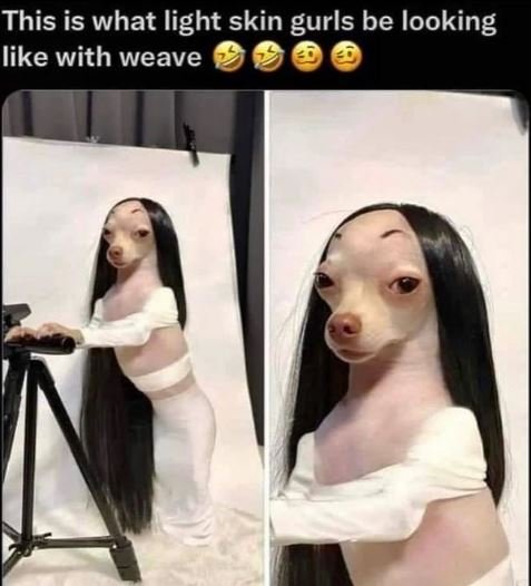 This is what light skin gurls be looking like with weave