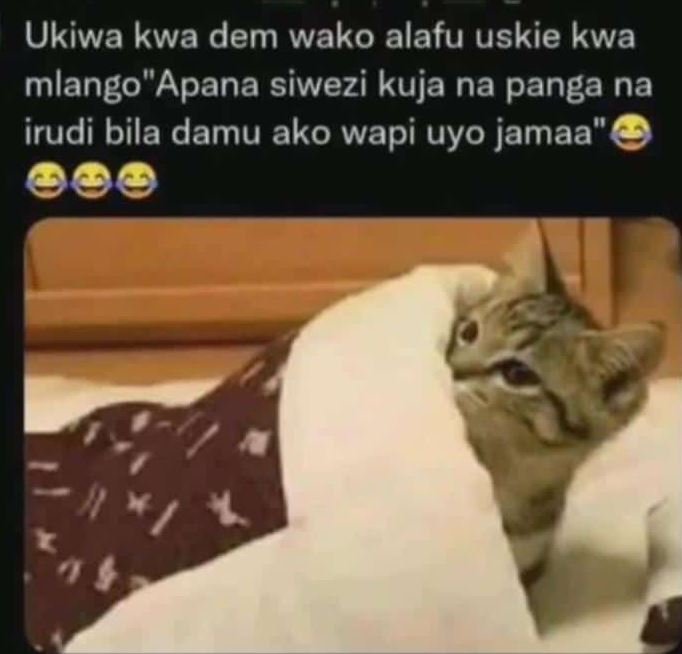 Ukiwa kwa dem wako alafu uskie kwa mlangoapana siwezi kuja na panga na irudi bil