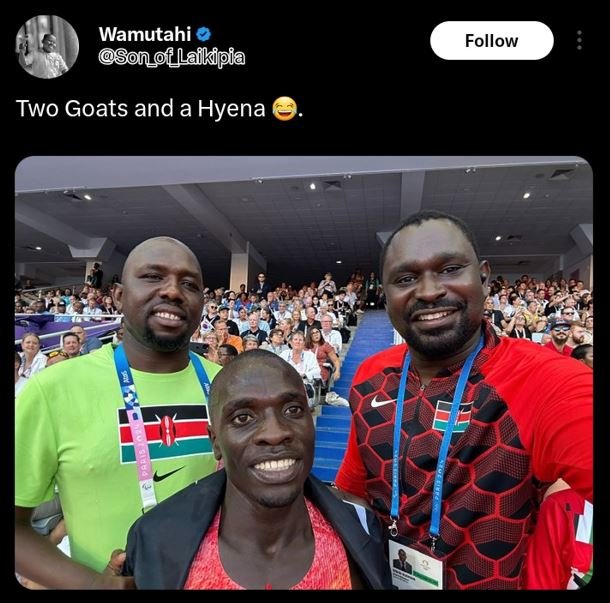 Wamutahi son_f_llaikipia follow two goats and a hyena