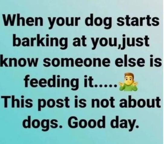When your dog starts barking at you just know someone else is feeding it._ This
