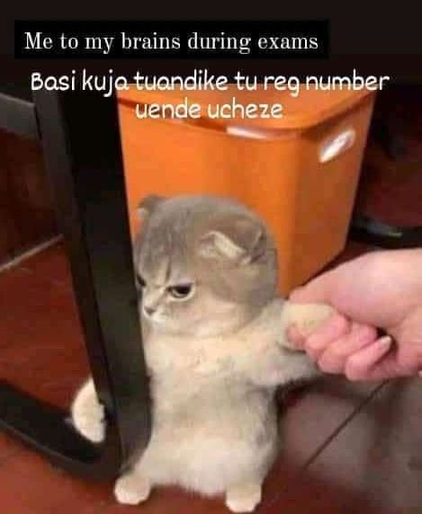 Me to my brains during exams basi kuja tuondike tu reg number uende ucheze