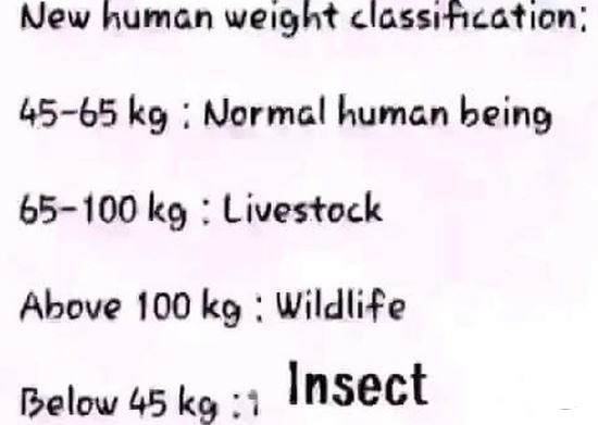 New human weight classitication 4565 kg normal human being 65100 k9 livestock ab