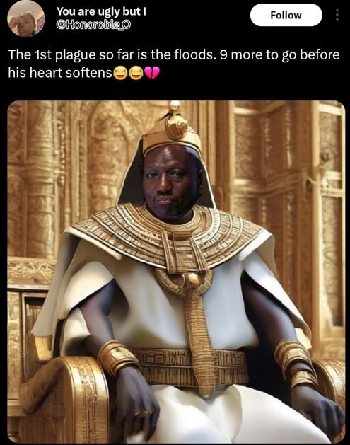 You are ugly but honorobleo follow the ist plague so far is the floods . 9 more