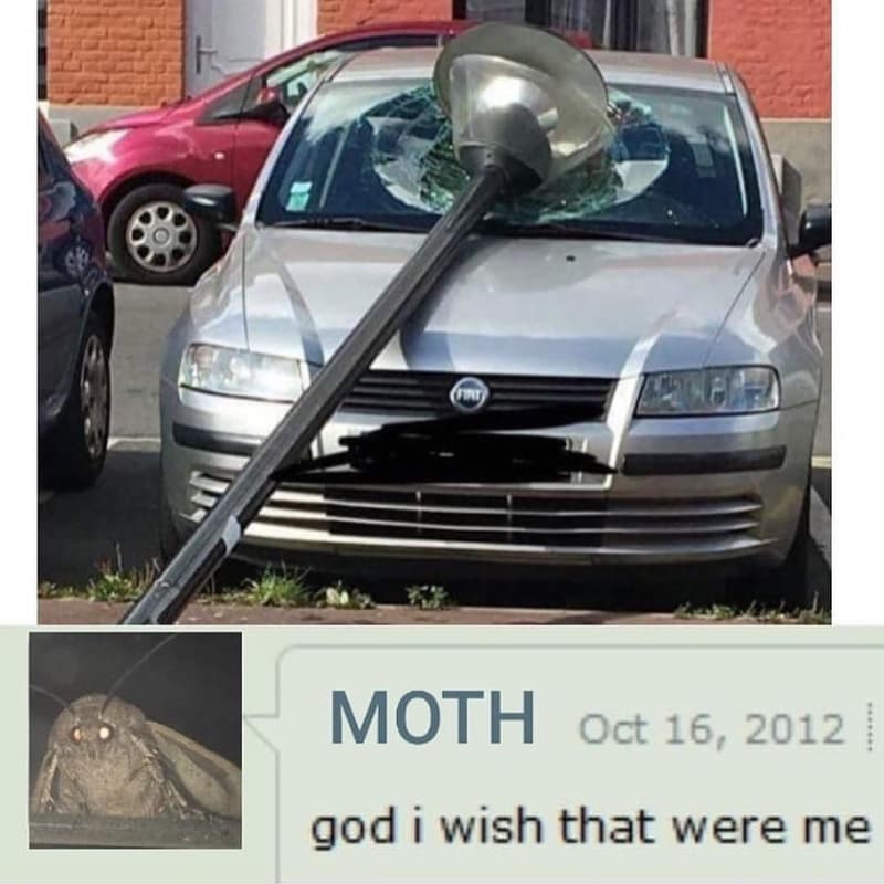 Moth oct 16, god iwish that were me