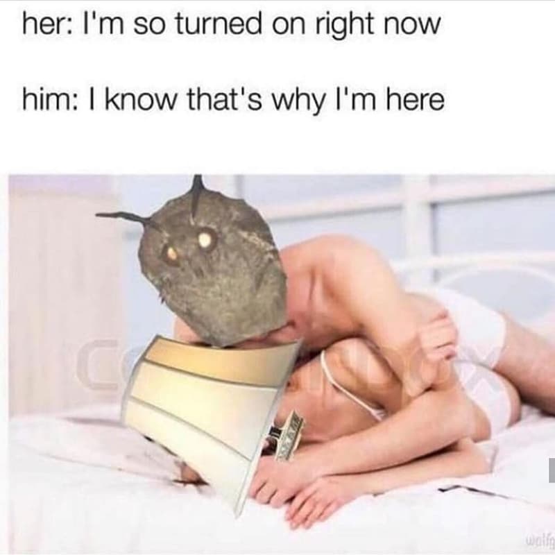 Her i'm so turned on right now him know that's why i'm here 1