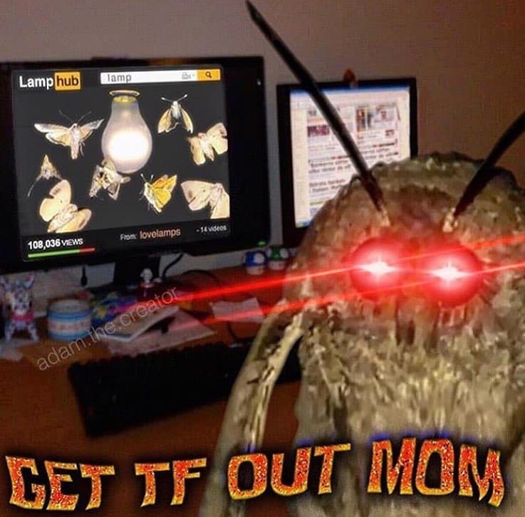 Lamphub am0 lovolamps 108 ,036 vews creator adam. get tf out mom