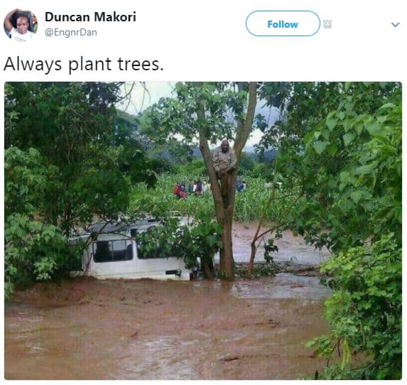 Duncan makori engnrdan follow always plant trees.