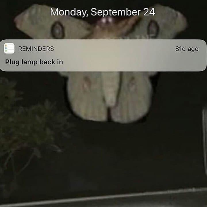 Monday september 24 reminders 81d ago plug lamp back in