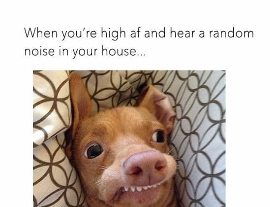 When you' 're high af and hear a random noise in your house.