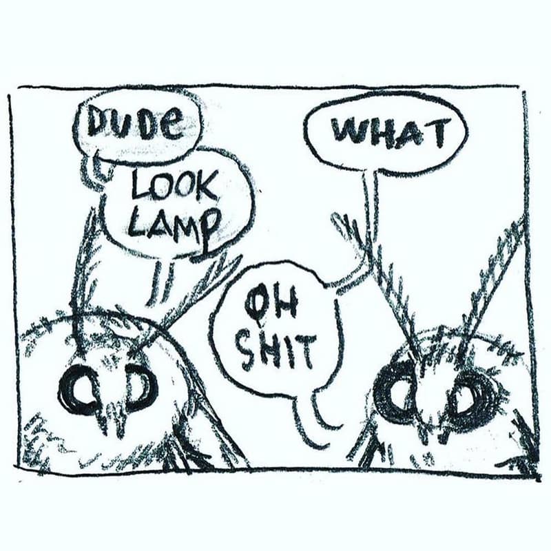 Dvbe what look lamp 0h shıt 9w