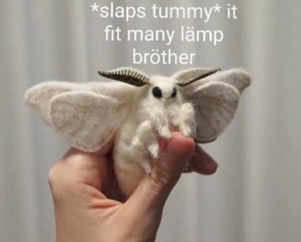 Kslaps tummy it fit many lämp bröther