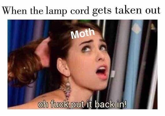 When the lamp cord gets taken out h fuck put it back in! moth
