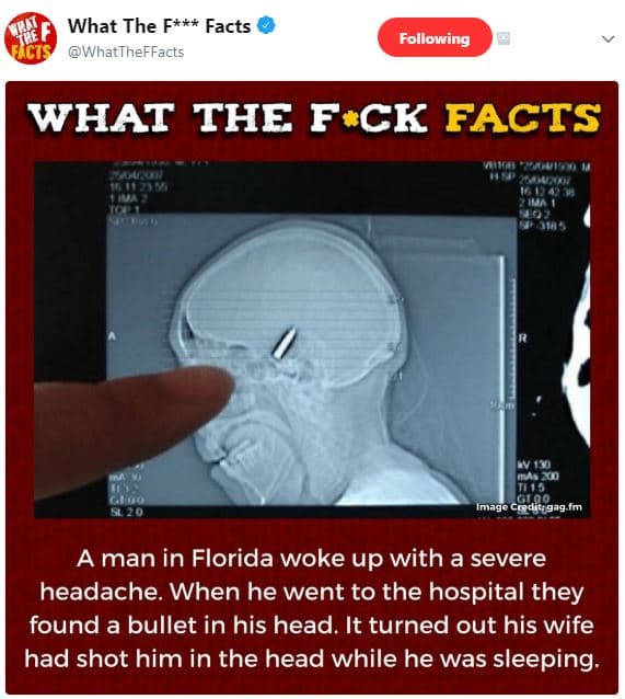 What the f facts whattheffacts following what the f ck facts inago crodit ga9 fm