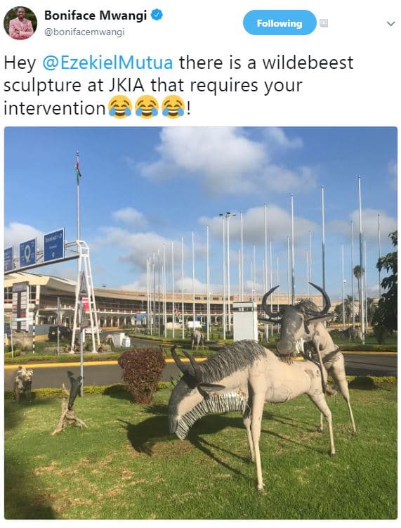 Boniface mwangi bonifacemwangi following hey ezekielmutua there is a wildebeest