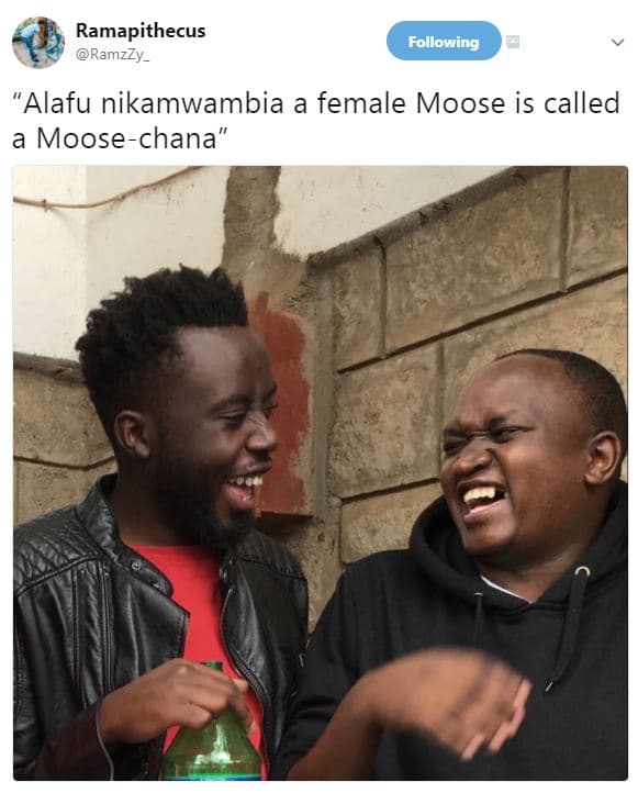 Ramapithecus ramzzy _ following alafu nikamwambia a female moose is called moose