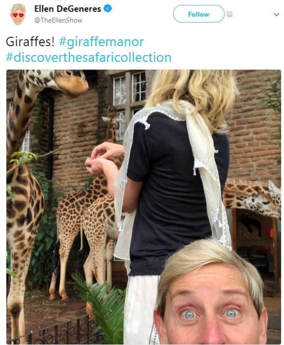 Ellen degeneres theellenshow follow giraffes! giraffemanor discoverthesafaricoll