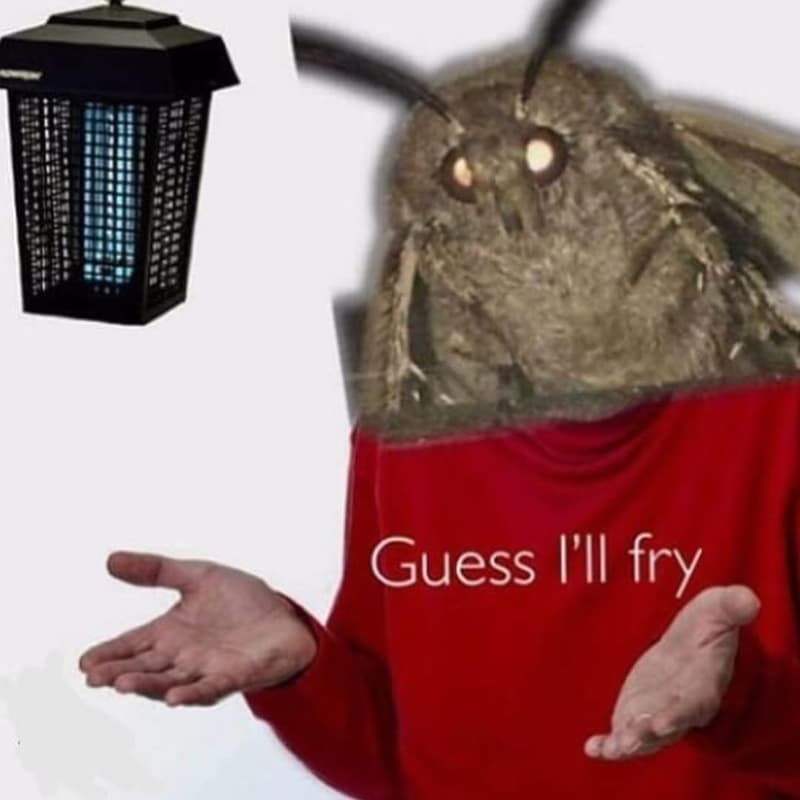 Guess 'i fry