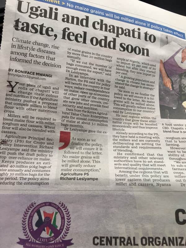 Ent no maize ugali grains will be and milled alone taste, policy chapati takes f