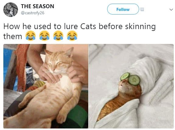 The season castrofy26 follow how he used to lure cats before skinning them