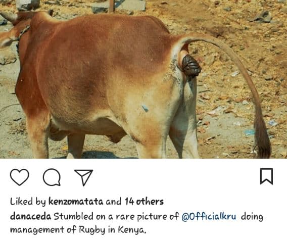 Liked by kenzomatata gnd 14 others danaceda stumbled on g rare picture of offıci