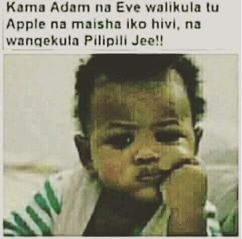 Kara adan 10 eve walıkula iu apple na maısha iko hivı, na wonqekuln pıllpılı jee