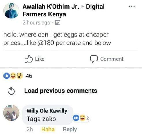 Awallah k'othim jr . digital farmers kenya 2 hours ago hello where can get eggs