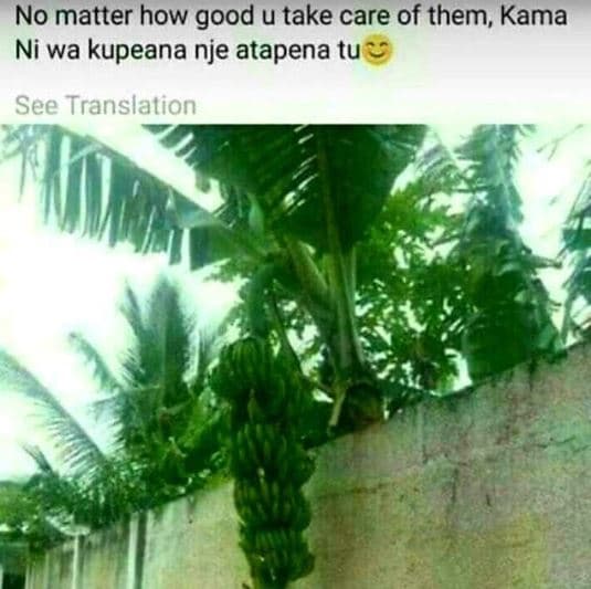 No matter how good u take care of them, kama ni wa kupeana nje atapena tu see tr