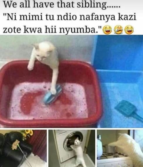 We all have that sibling _ ni mimi tu ndio nafanya kazi zote kwa hii nyumba '