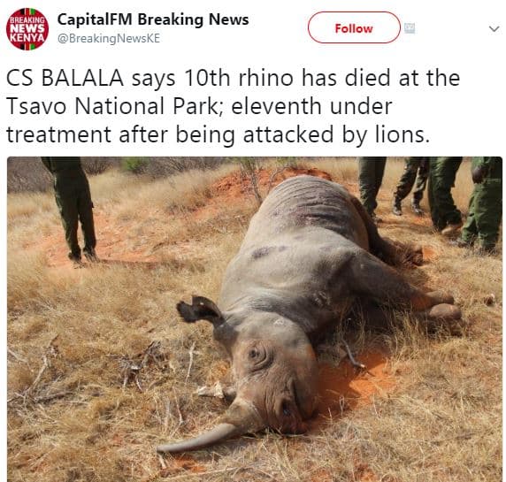 Capitalfm breaking news 9 breakingnewske follow cs balala says 1oth rhino has di