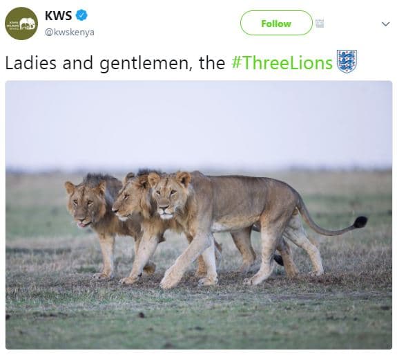 Kws kwskenya follow ladies and gentlemen the threelions