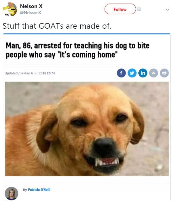 Nelson x nelssonx follow stuff that goats are made of. man 86, arrested for teac