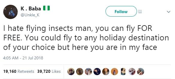 K baba unkle_k follow hate flying insects man you can fly for free you could fly