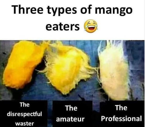 Three types of mango eaters the the amateur the disrespectful waster professiona