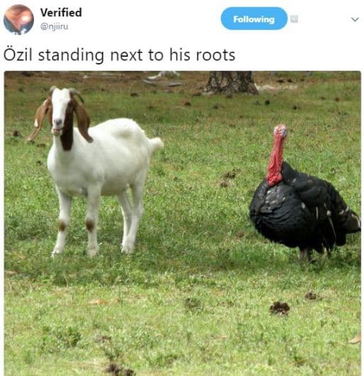 Verified njiiru following özil standing next to his roots