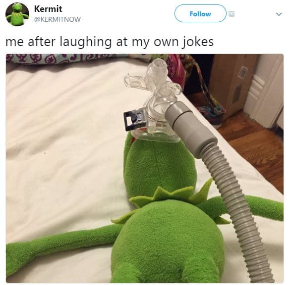 Kermit kermitnow follow me after laughing at my own jokes