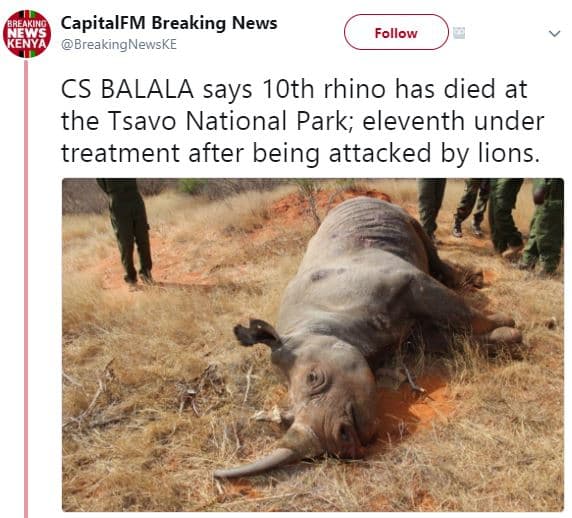 Capitalfm breaking news 6 breakingnewske follow cs balala says 1oth rhino has di