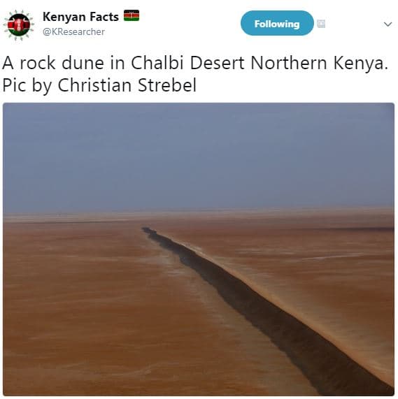 Kenyan facts kresearcher following a rock dune in chalbi desert northern kenya.