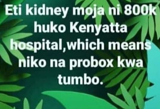 Eti kidney moja ni 800k huko kenyatta hospital,which means niko na probox kwa tu