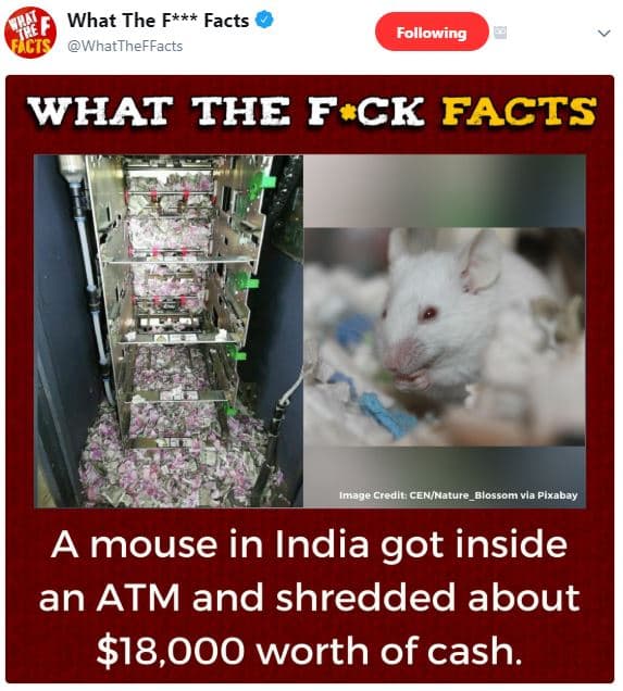 What the f facts cis whattheffacts following what the fck facts inage credle cen