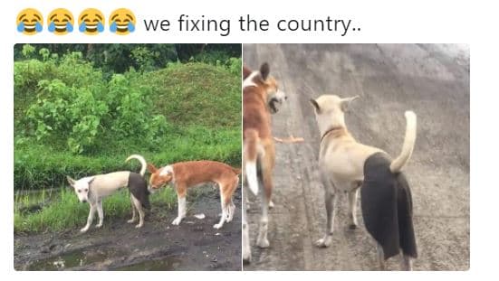 We fixing the country