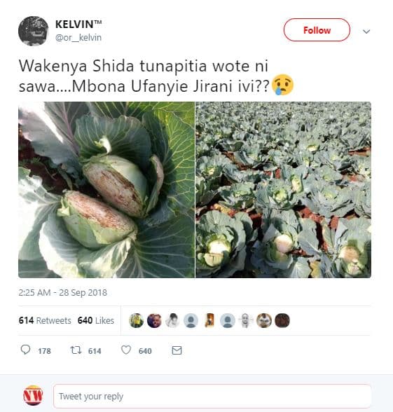 Kelvin or kelvin follow wakenya shida tunapitia wote ni sawa. mbona ufanyie jira