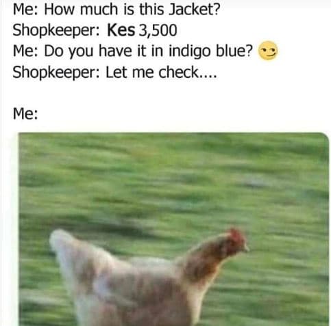 Me how much is this jacket? shopkeeper kes 3,500 me do you have it in indigo blu