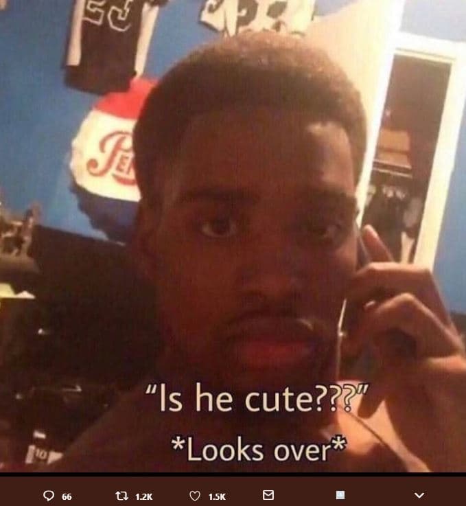 Ise is he cute?? looks over 9 66 0 12k 1sk