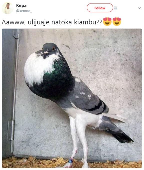 Kepa kennaz follow aawww, ulijuaje natoka kiambu??