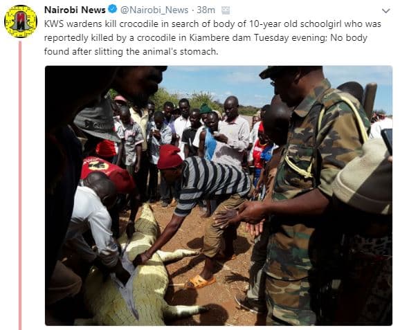 Nairobi news nairobi_news 38m kws wardens kill crocodile in search of body of 1o
