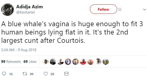 Adidja azim kevkartel follow a blue whale's vagina is huge enough to fit 3 human